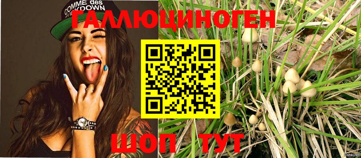Псилоцибиновые грибы GOLDEN TEACHER  Галлюциногенные грибы GOLDEN TEACHER  Казань  Вход с VPN 